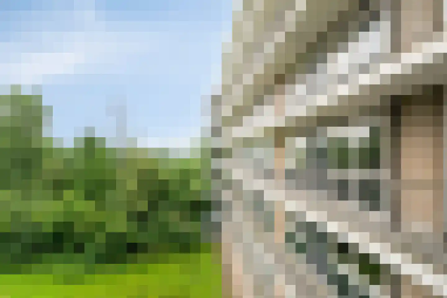 Wijenburglaan 81 Arnhem thumbnail 20