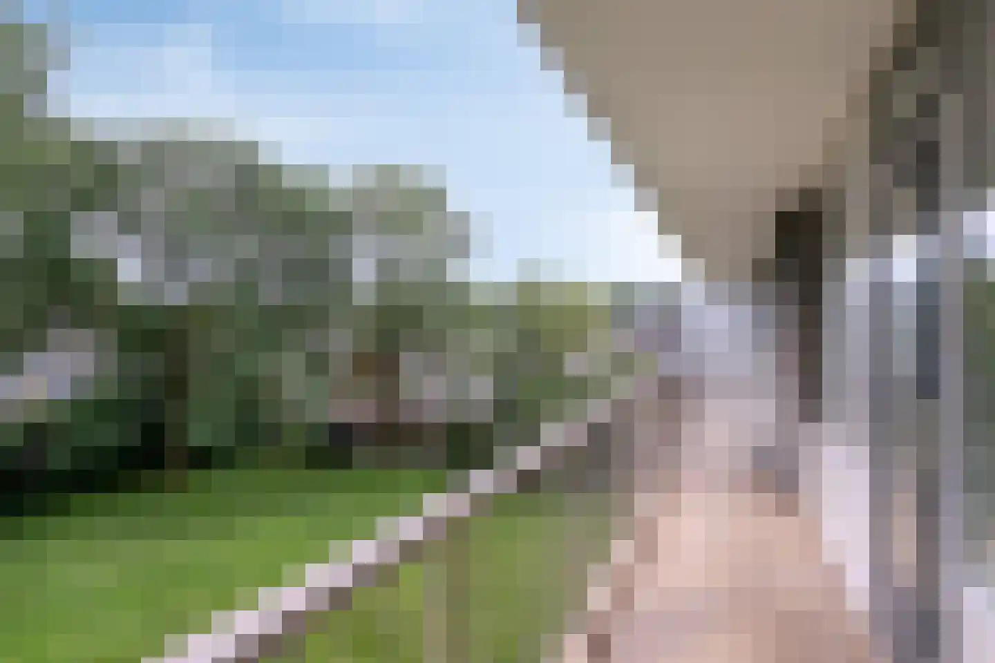 Wijenburglaan 81 Arnhem thumbnail 6