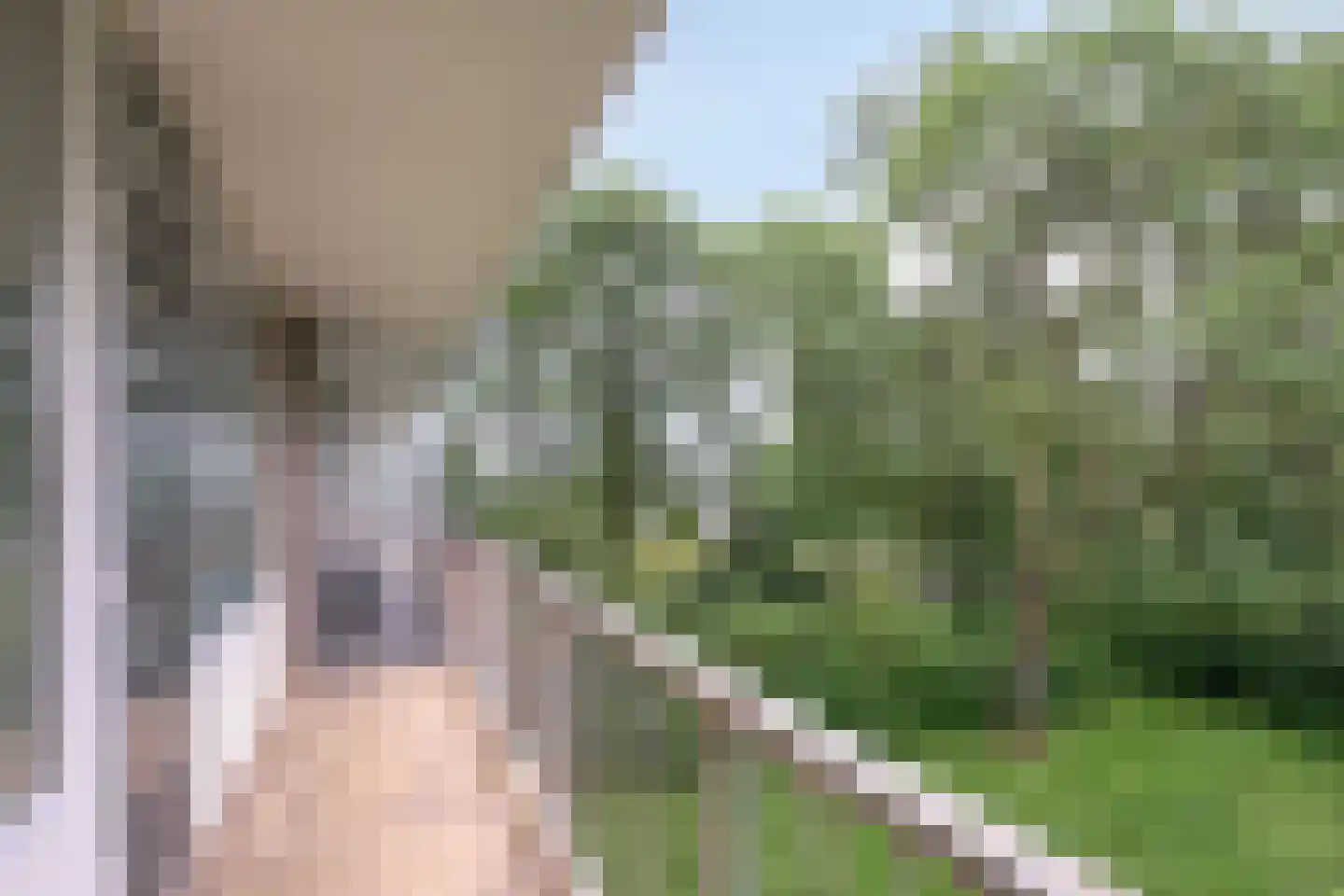 Wijenburglaan 81 Arnhem thumbnail 7