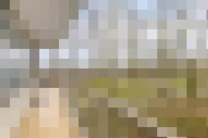 Wijenburglaan 85 Arnhem thumbnail 28