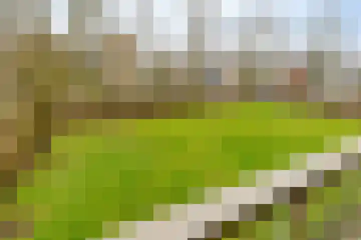 Wijenburglaan 85 Arnhem thumbnail 29