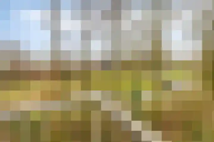 Wijenburglaan 85 Arnhem thumbnail 30