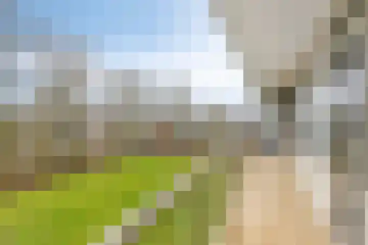Wijenburglaan 85 Arnhem thumbnail 31
