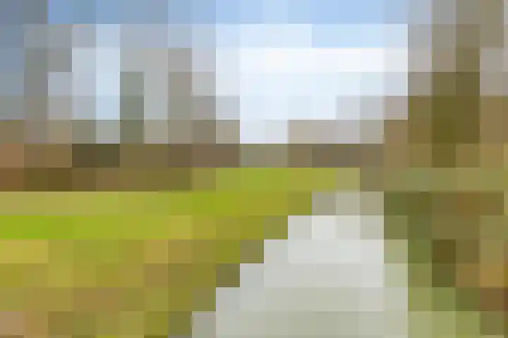 Wijenburglaan 85 Arnhem thumbnail 35