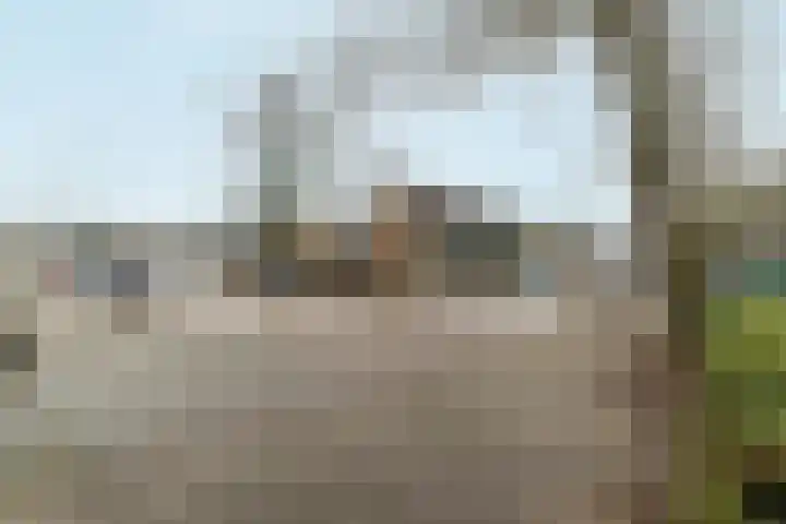 Wijenburglaan 87 Arnhem thumbnail 34