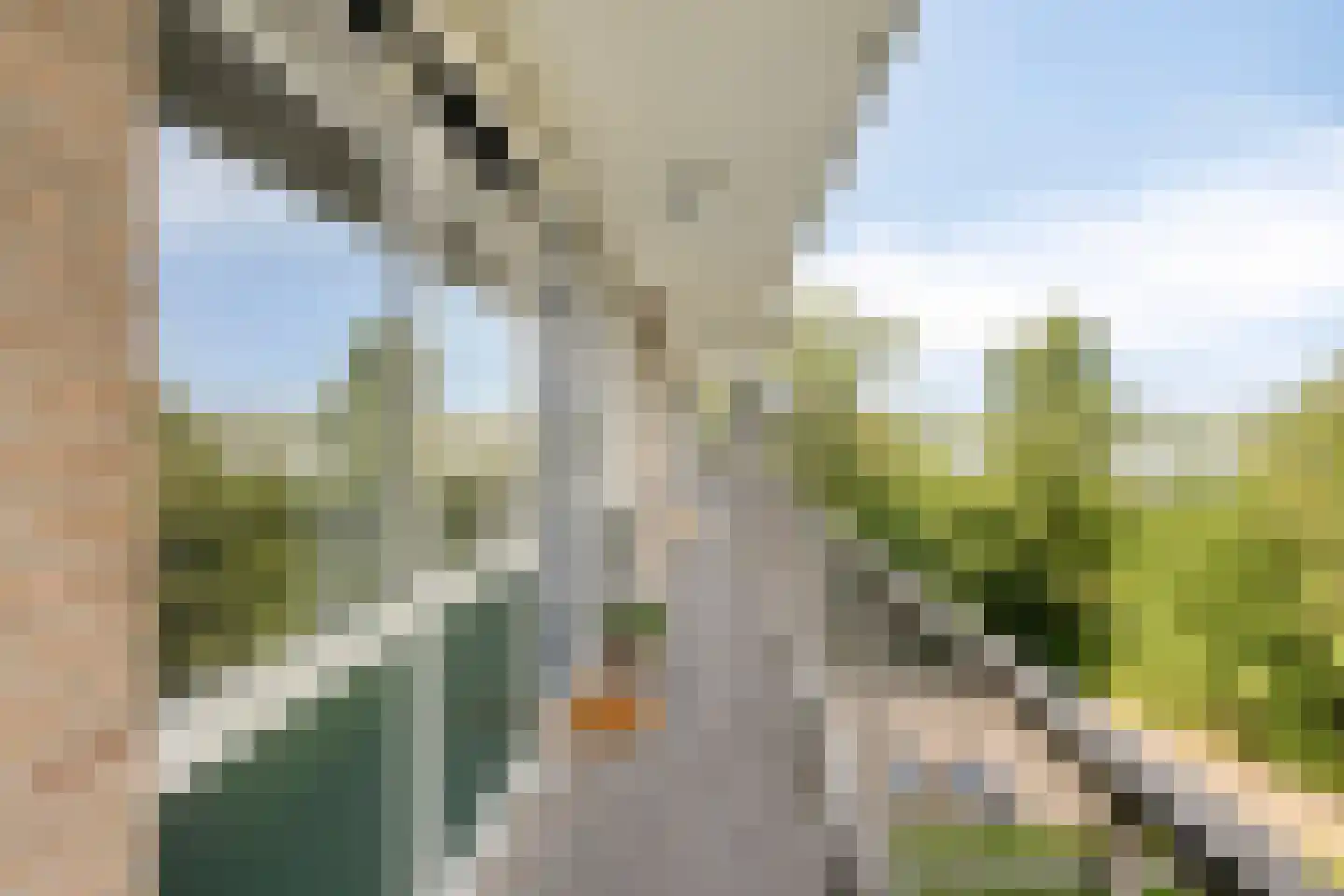 Wijenburglaan 91 Arnhem thumbnail 10