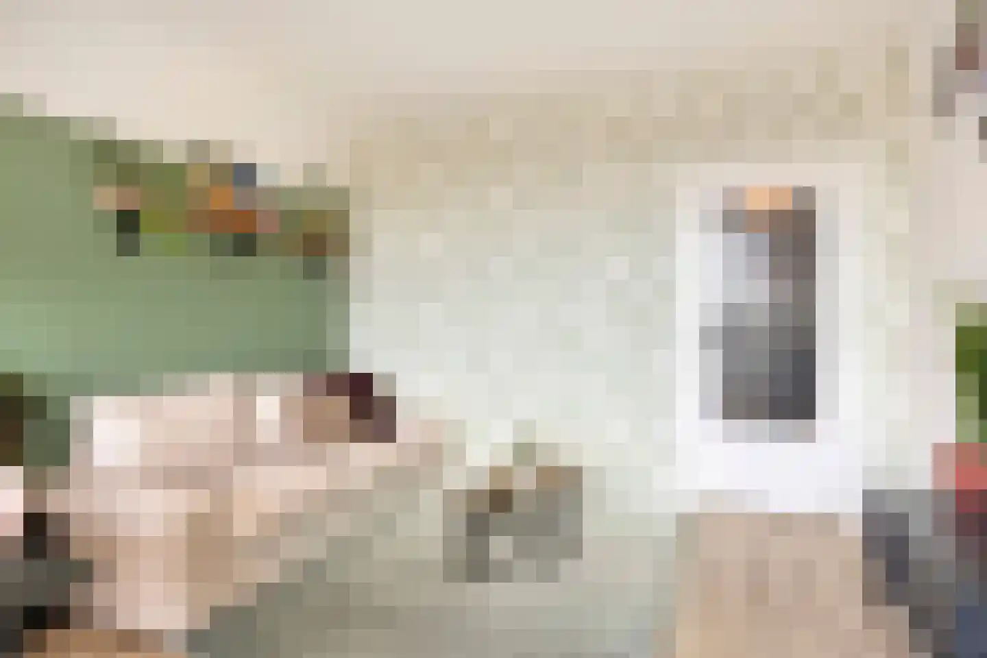 Wijenburglaan 91 Arnhem thumbnail 16