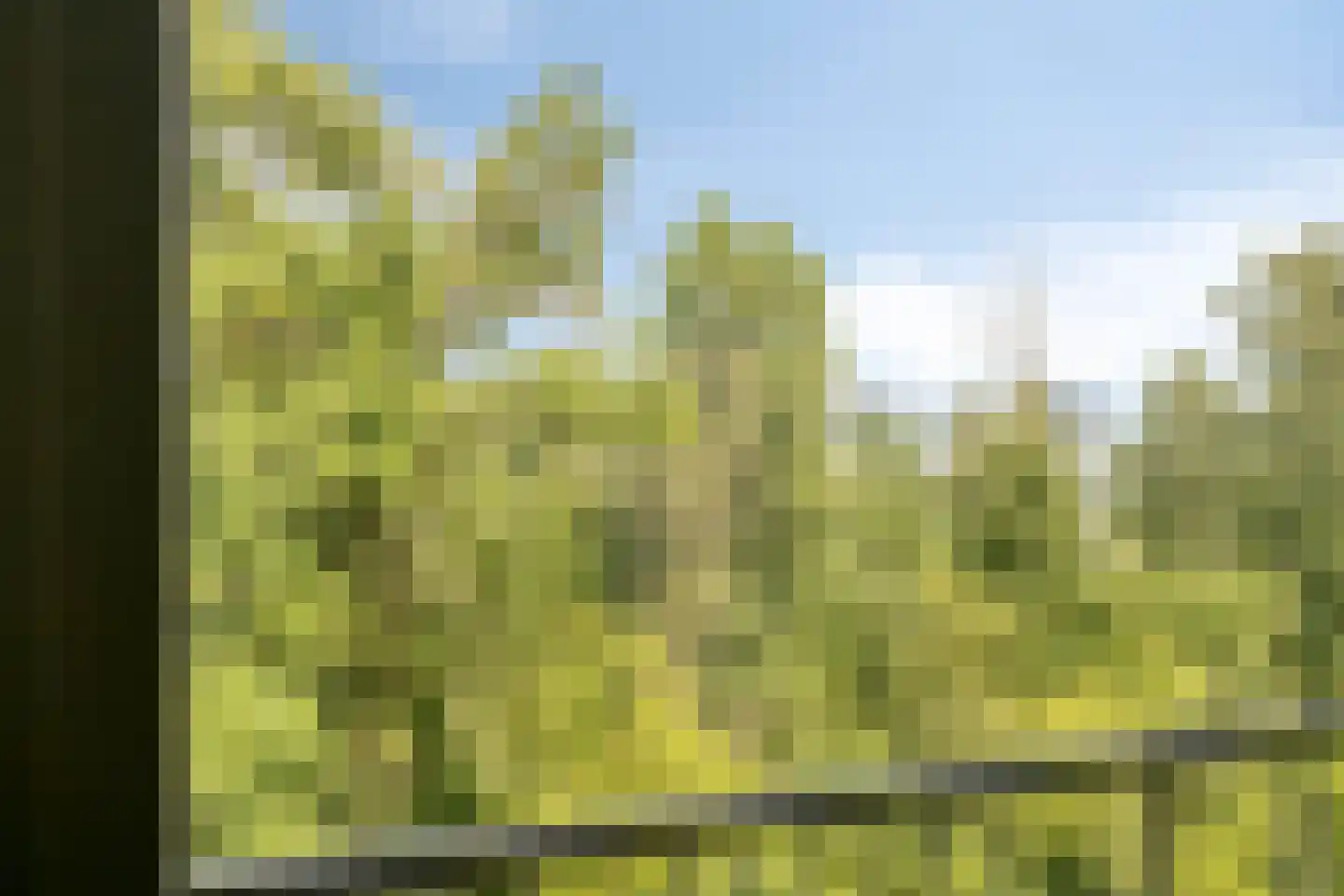 Wijenburglaan 91 Arnhem thumbnail 20