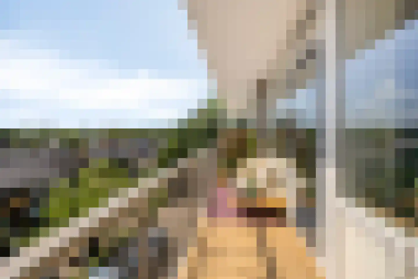 Wijenburglaan 91 Arnhem thumbnail 28