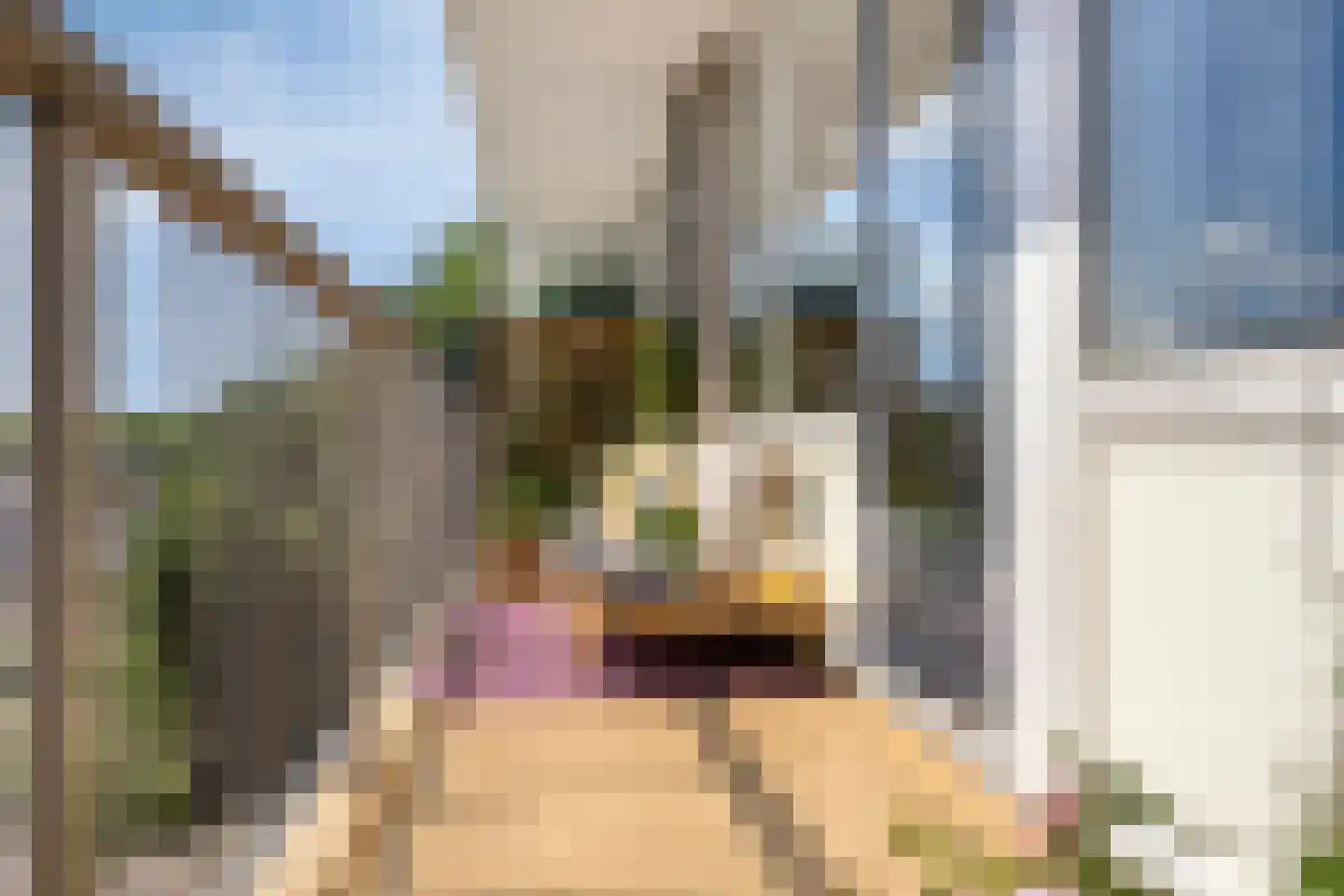 Wijenburglaan 91 Arnhem thumbnail 29