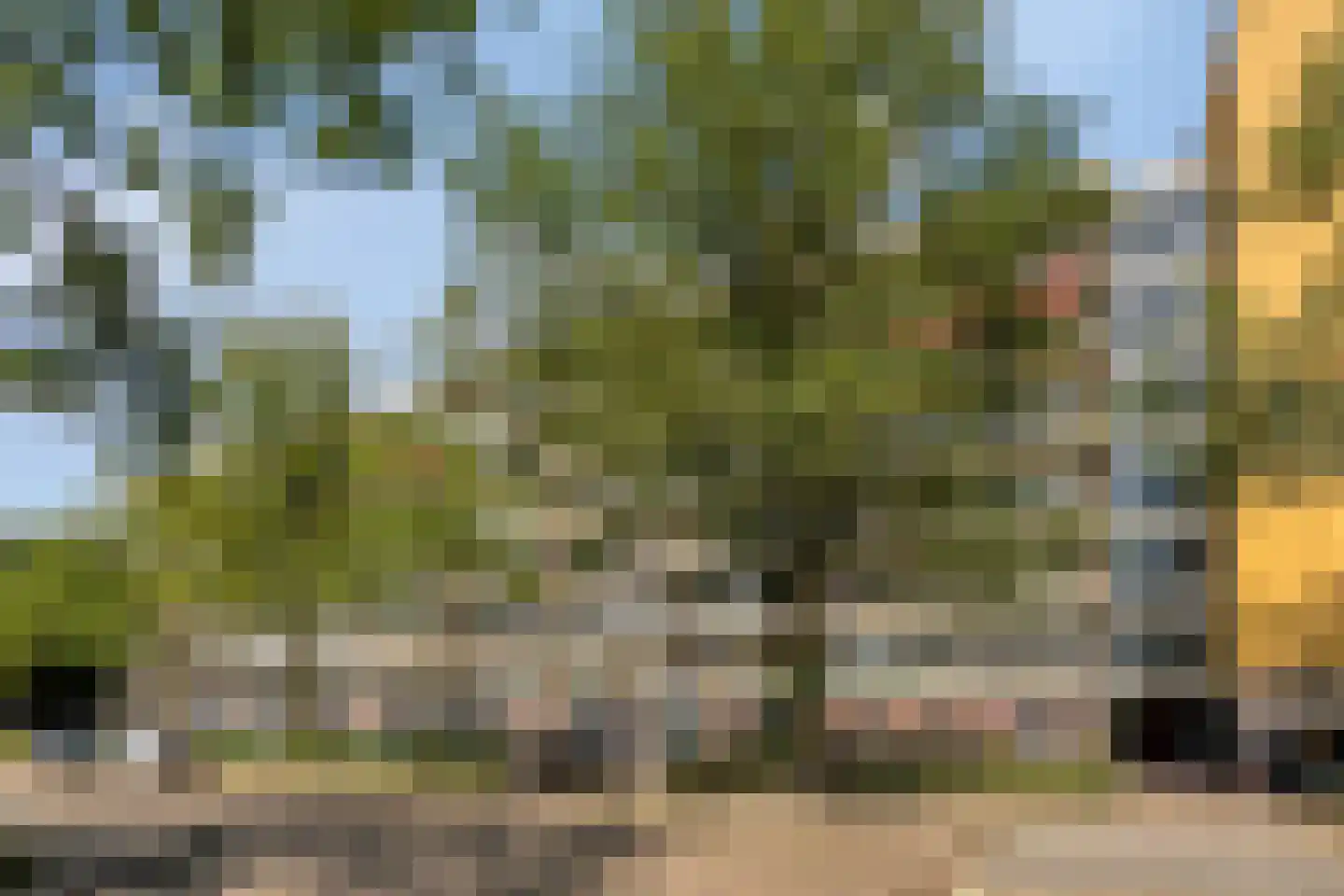 Wijenburglaan 91 Arnhem thumbnail 31