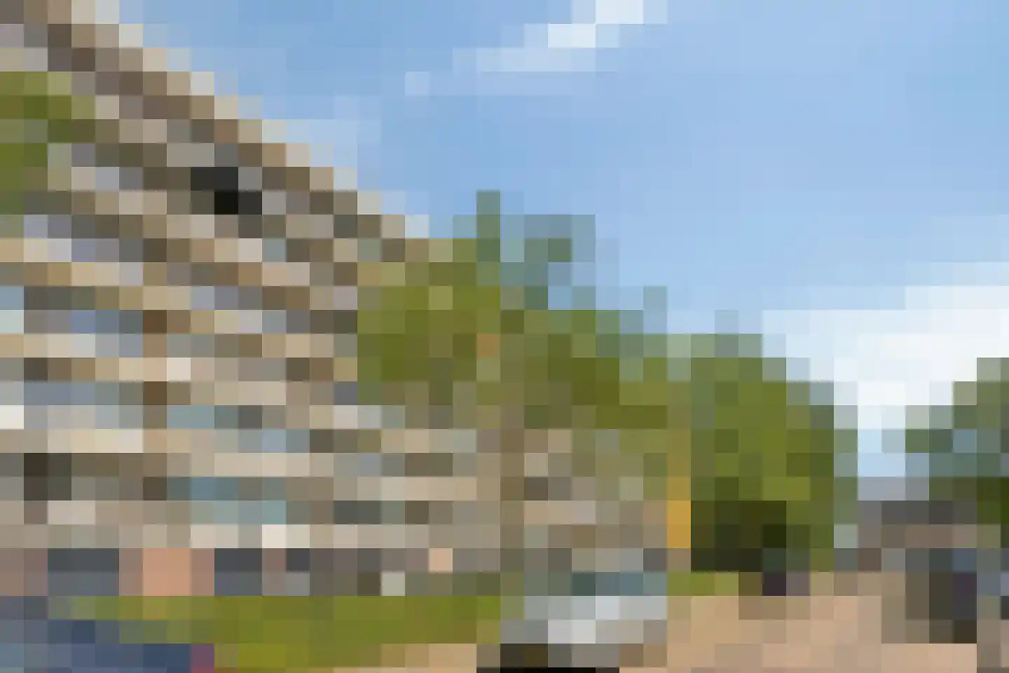 Wijenburglaan 91 Arnhem thumbnail 32