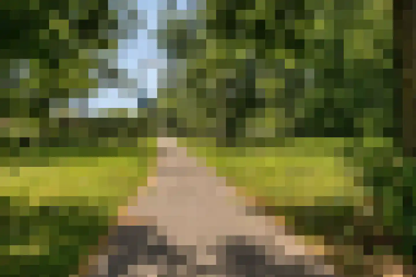 Wijenburglaan 91 Arnhem thumbnail 35