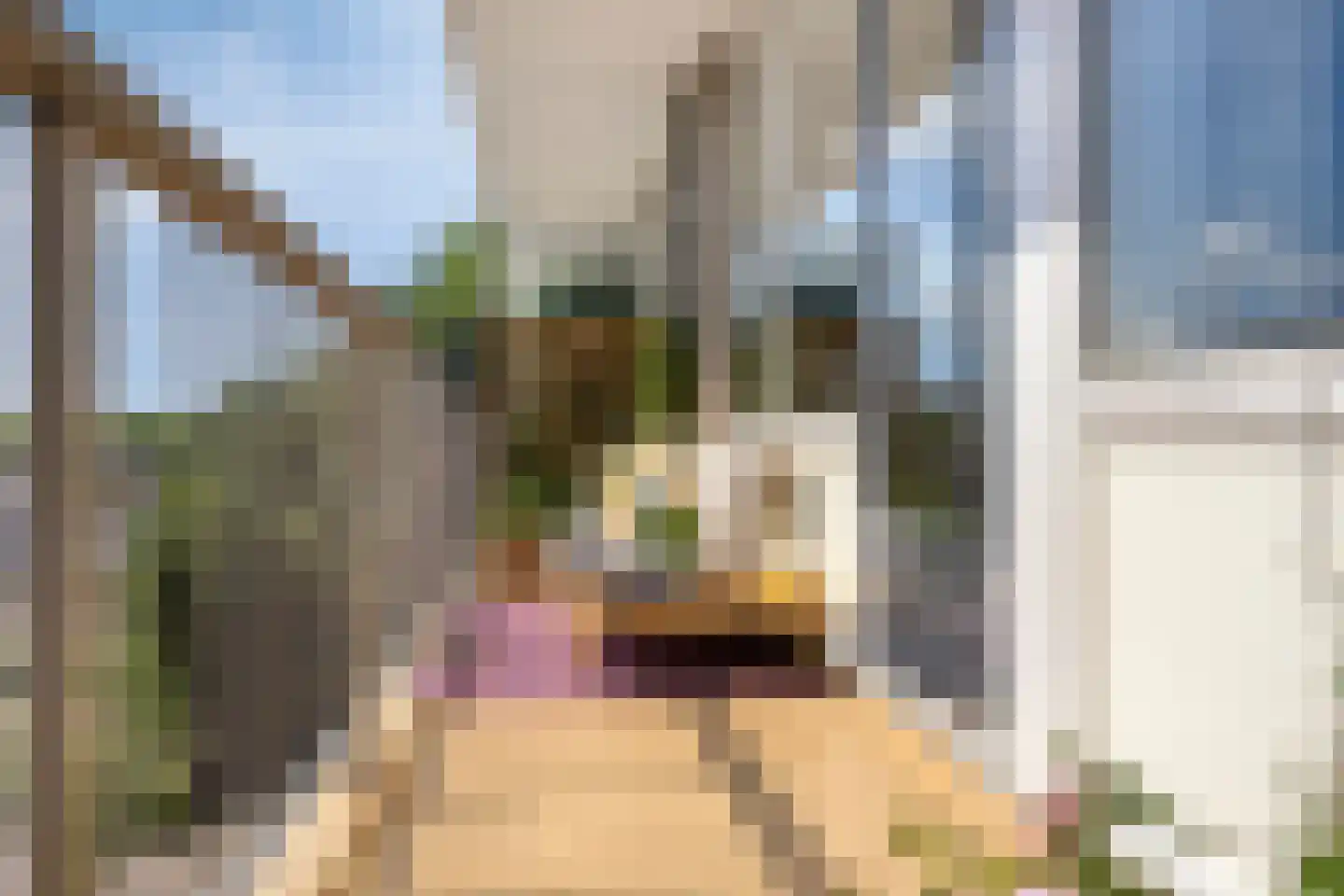Wijenburglaan 91 Arnhem thumbnail 4