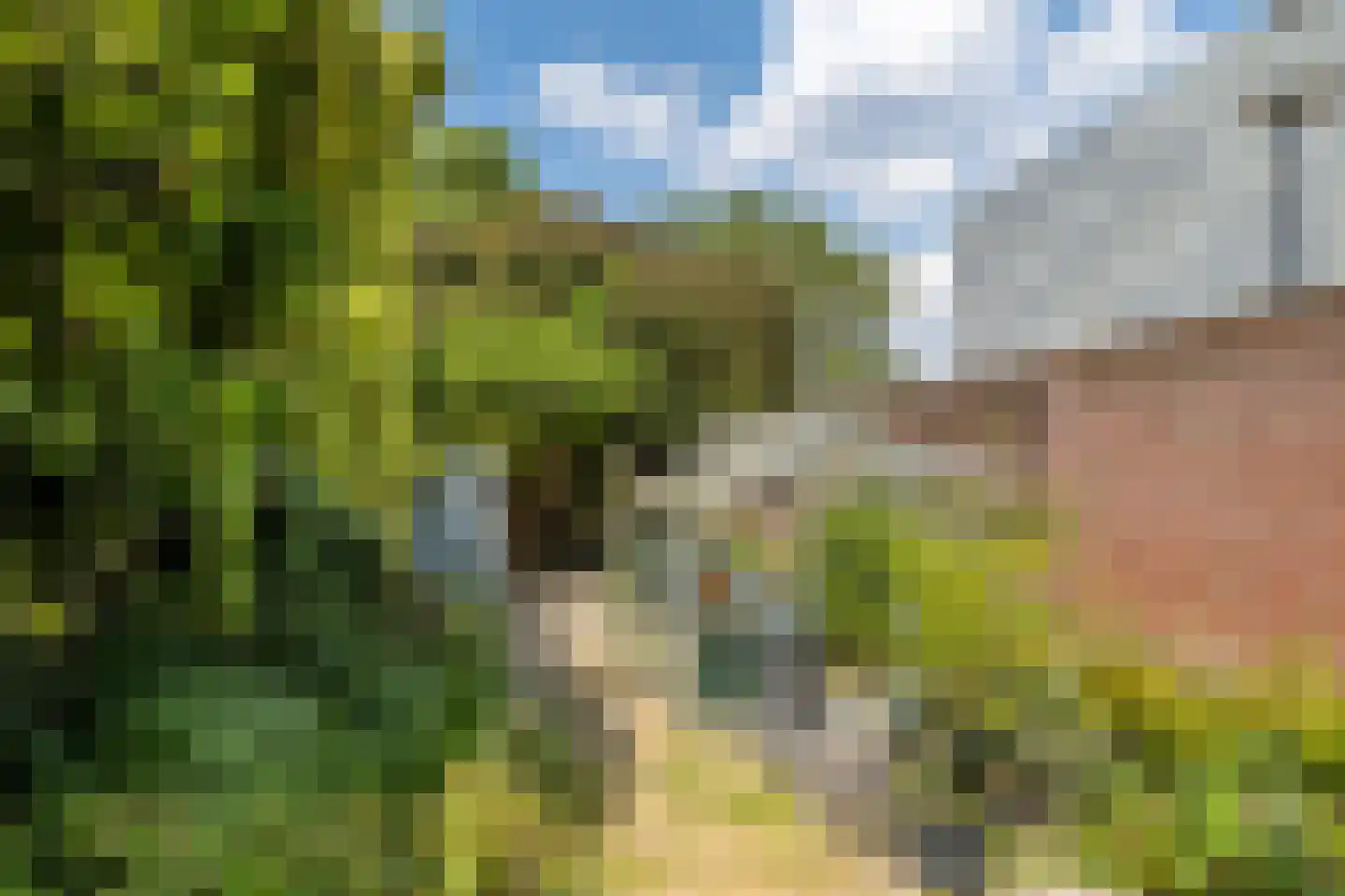 Wijenweg 141 Brunssum thumbnail 31