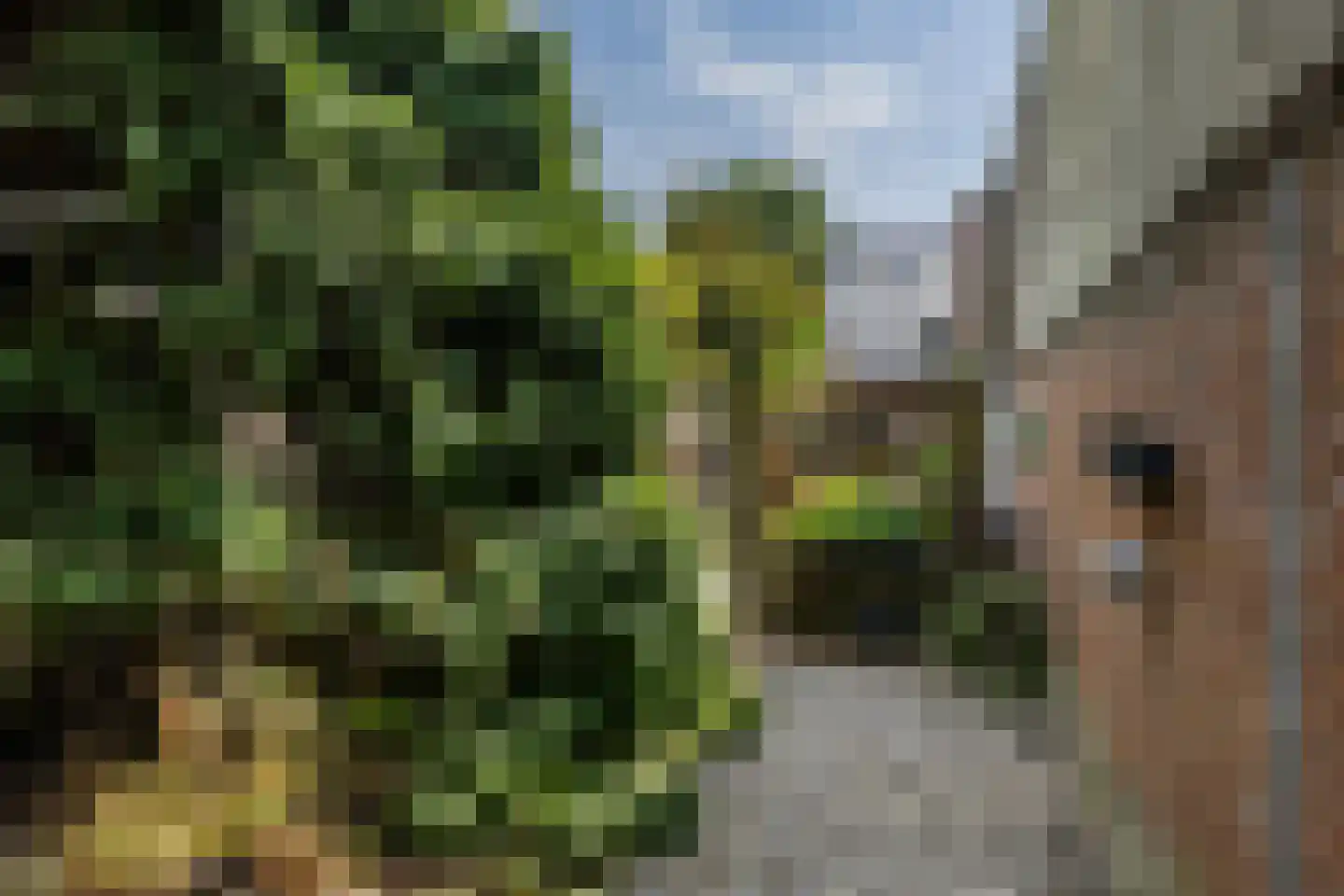 Wijenweg 141 Brunssum thumbnail 36