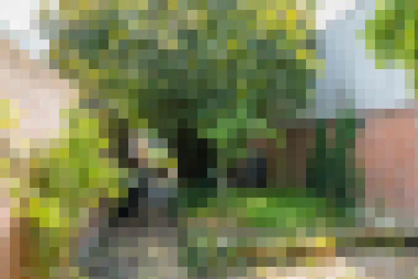 Wijenweg 141 Brunssum thumbnail 38