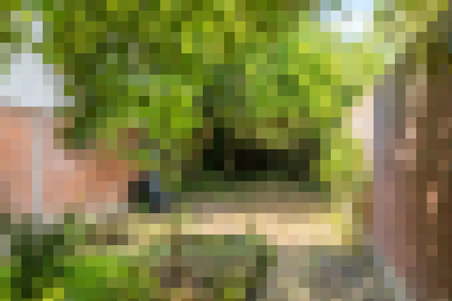 Wijenweg 141 Brunssum thumbnail 40