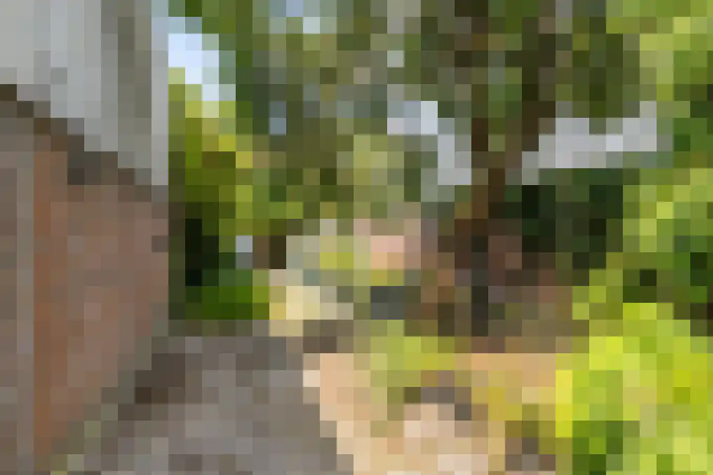 Wijenweg 141 Brunssum thumbnail 41