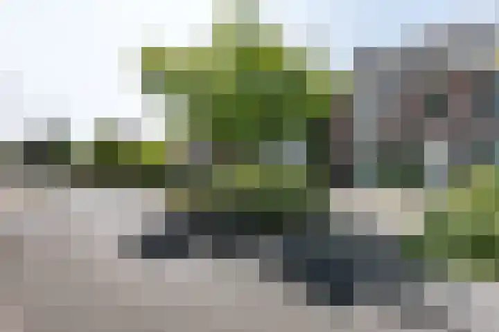 Wijenweg 6 Brunssum thumbnail 23
