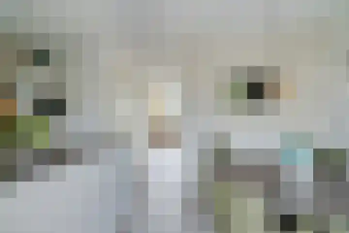 Wijereind 16 Hapert thumbnail 12