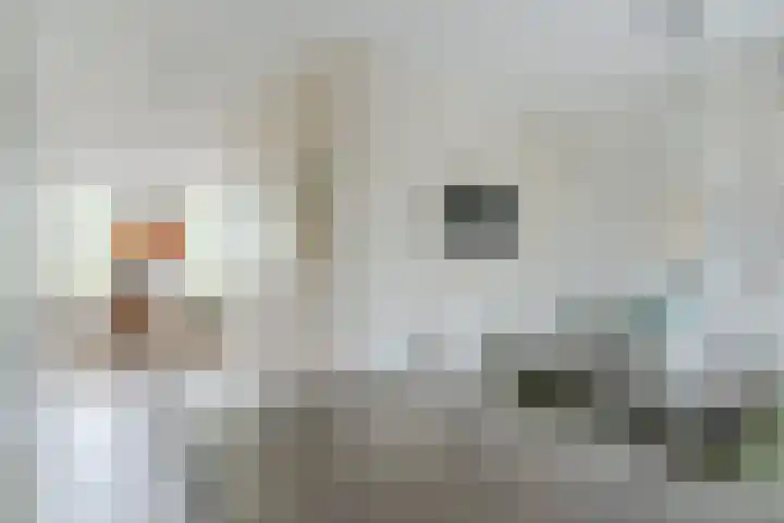 Wijereind 16 Hapert thumbnail 14