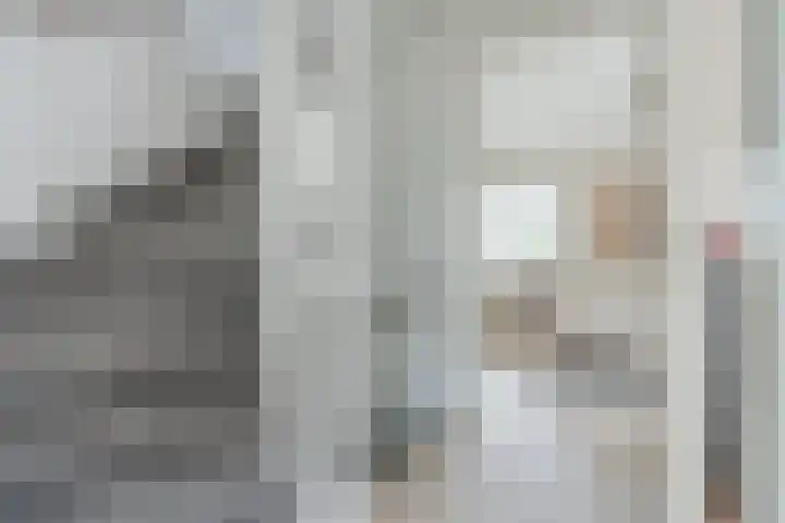 Wijereind 16 Hapert thumbnail 15