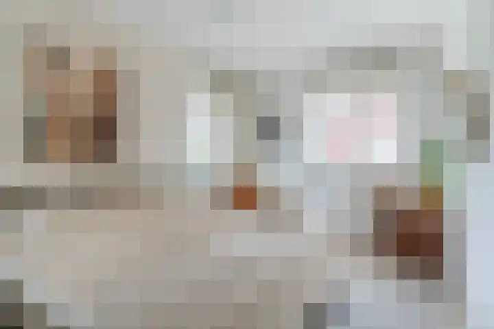 Wijereind 16 Hapert thumbnail 16