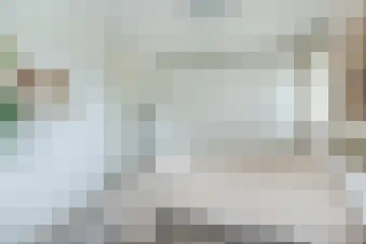Wijereind 16 Hapert thumbnail 17