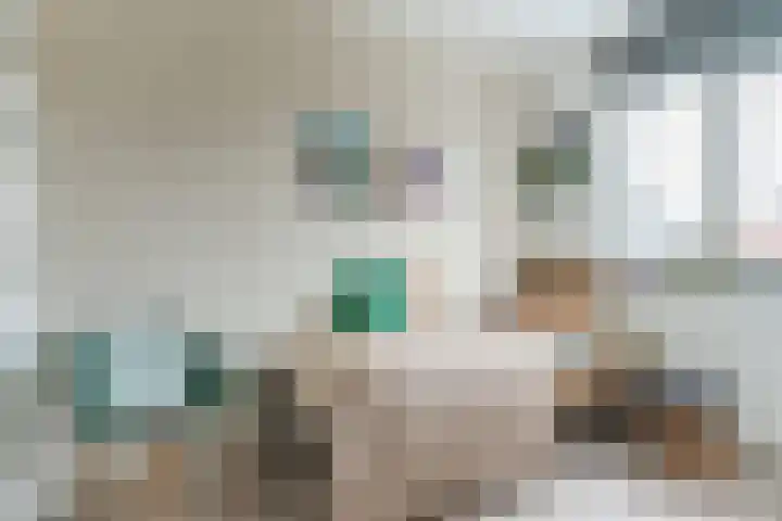 Wijereind 16 Hapert thumbnail 18