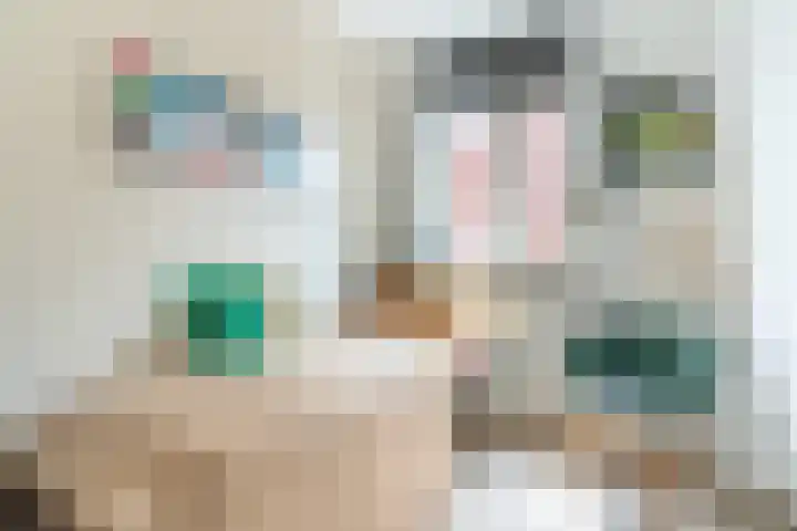 Wijereind 16 Hapert thumbnail 19