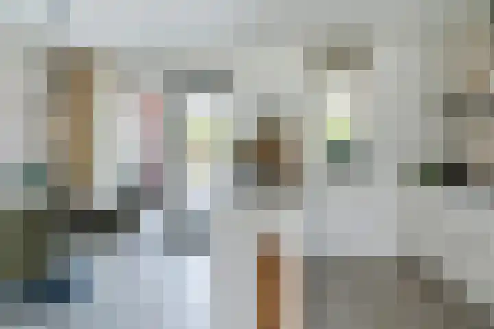 Wijereind 16 Hapert foto 2