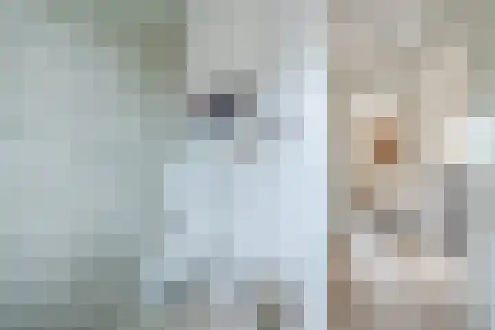 Wijereind 16 Hapert thumbnail 21