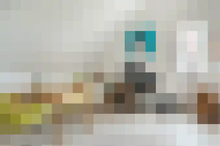Wijereind 16 Hapert thumbnail 22