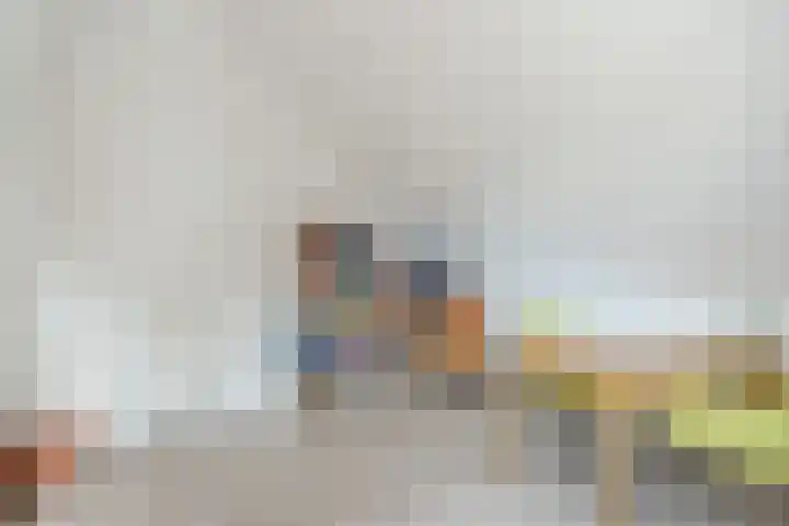 Wijereind 16 Hapert thumbnail 23