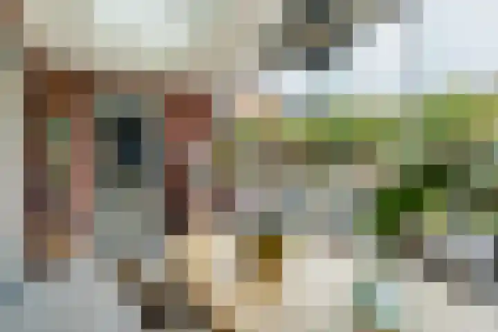 Wijereind 16 Hapert thumbnail 25