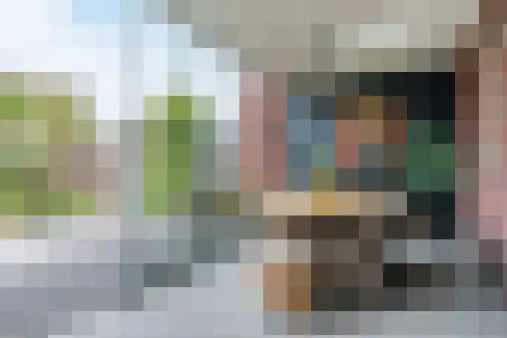 Wijereind 16 Hapert thumbnail 26