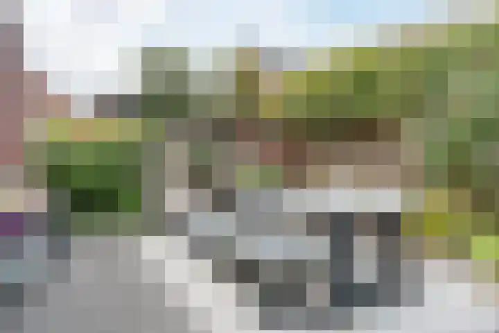 Wijereind 16 Hapert thumbnail 27