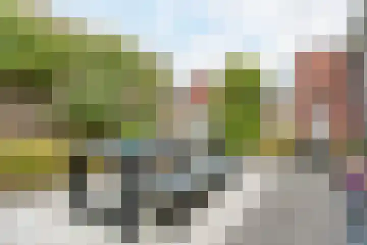 Wijereind 16 Hapert thumbnail 28
