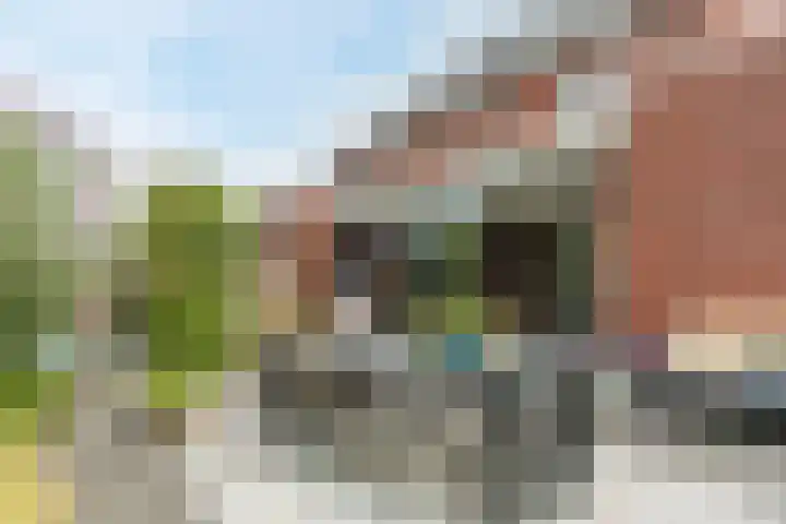 Wijereind 16 Hapert thumbnail 29