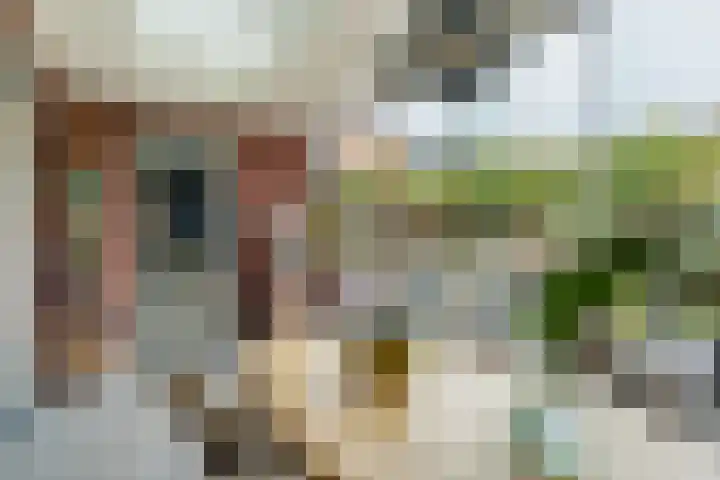 Wijereind 16 Hapert foto 3
