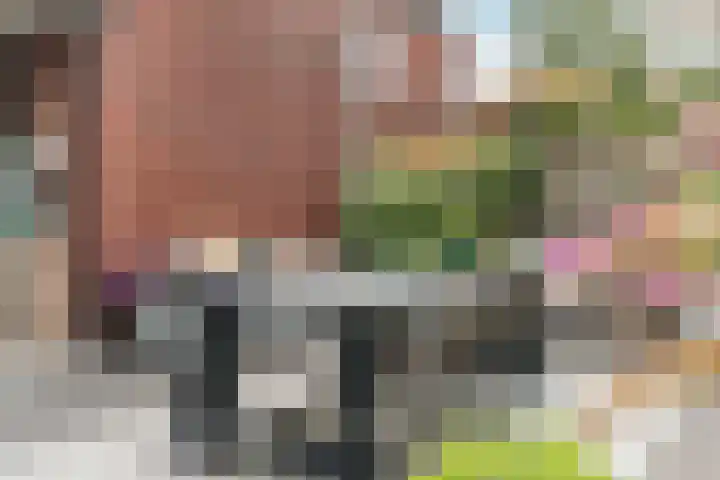 Wijereind 16 Hapert thumbnail 30