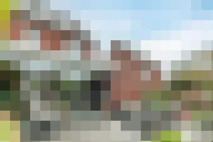 Wijereind 16 Hapert thumbnail 31