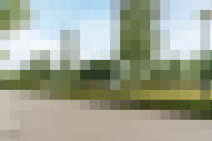 Wijereind 16 Hapert thumbnail 33