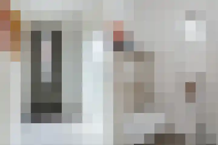 Wijereind 16 Hapert thumbnail 5