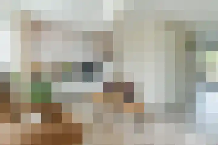 Wijereind 16 Hapert thumbnail 6