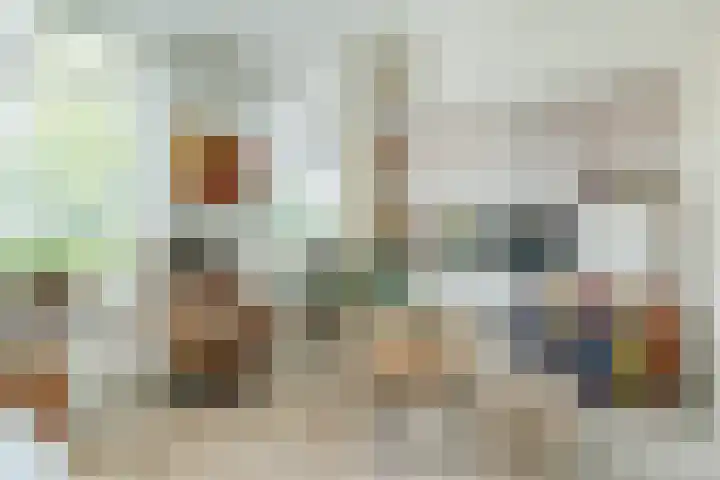 Wijereind 16 Hapert thumbnail 8