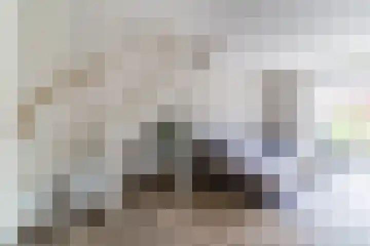 Wijereind 2 Hapert thumbnail 10