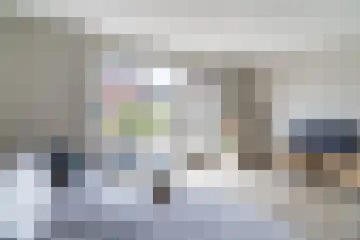 Wijereind 2 Hapert thumbnail 12