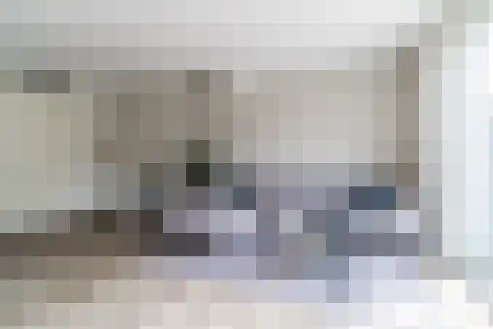 Wijereind 2 Hapert thumbnail 13